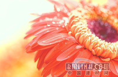 ľWDƬ