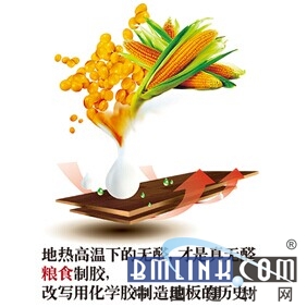 建材网