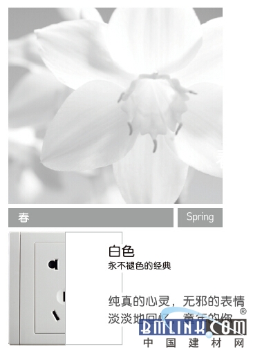 建材网