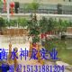 Ӧ绯pc绯۸